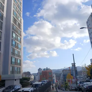 Profile image of 잠뜰