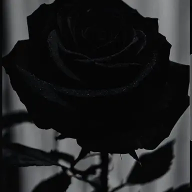 Profile image of 범인