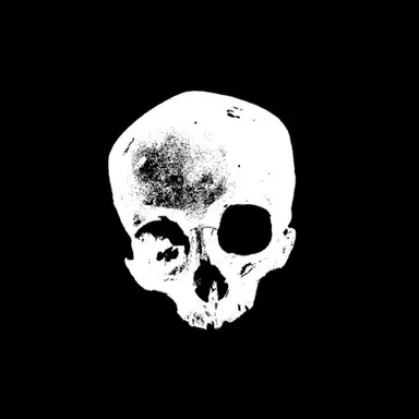 Profile image of Zack