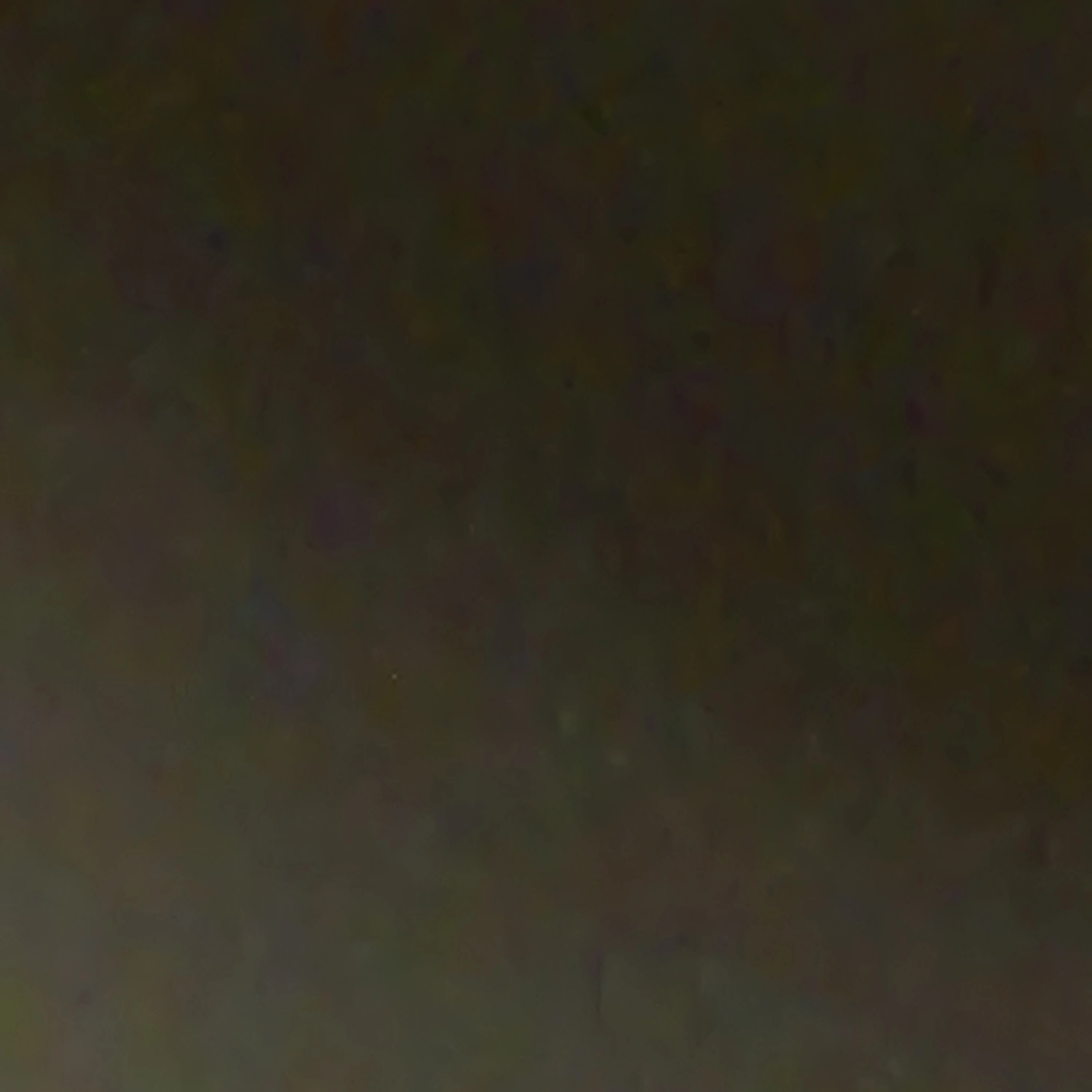 김하윤