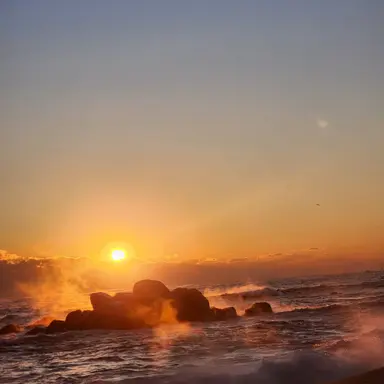Profile image of 박승규