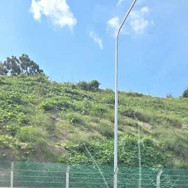 Profile image of 나래이션