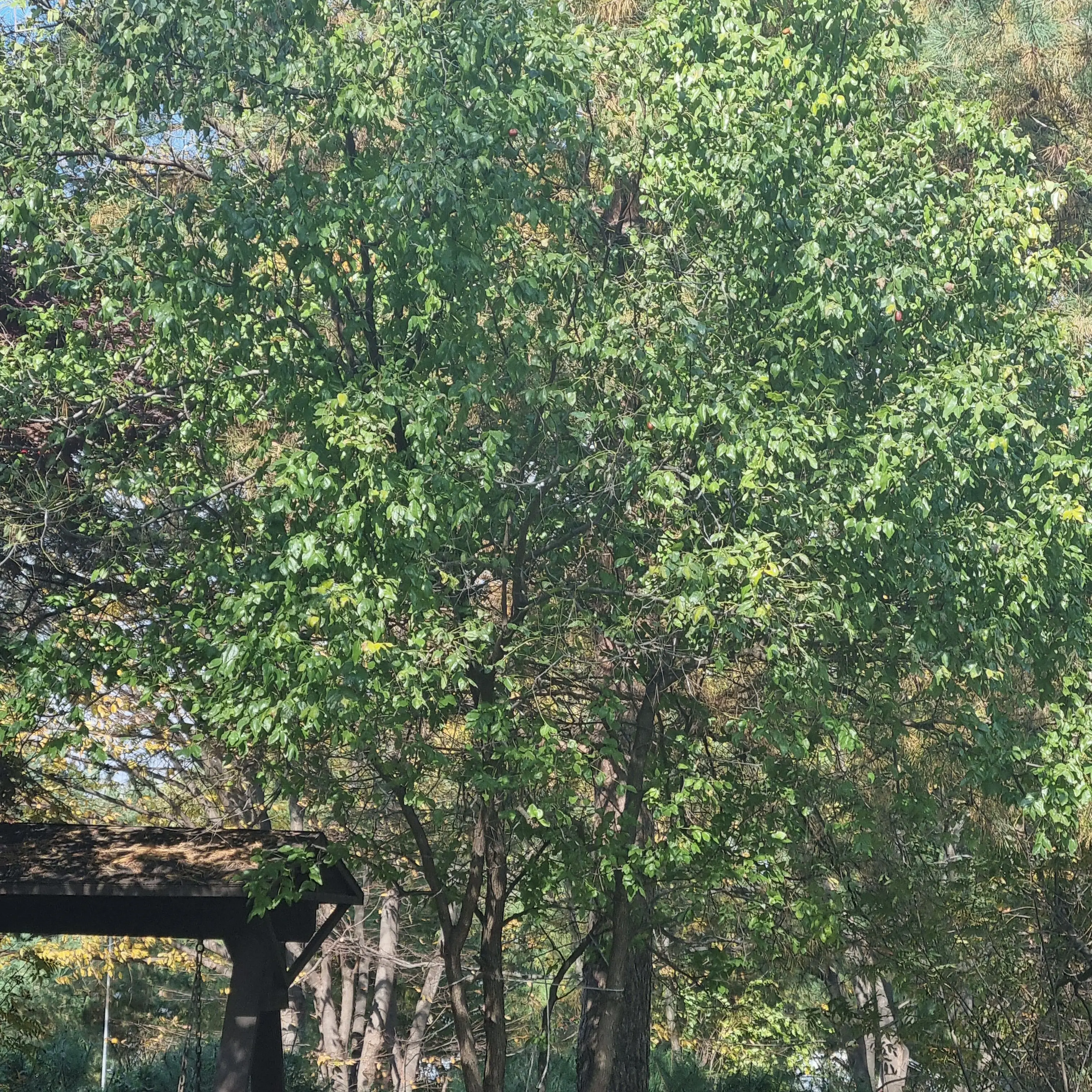 PrettyLove2746의 본인이 부자일줄 모르는 친구