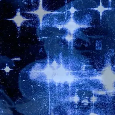 Profile image of セミ