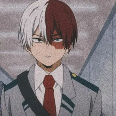 Profile image of Shoto Todoroki