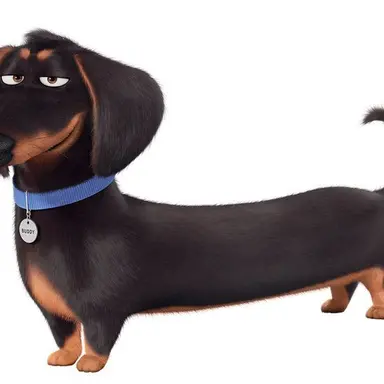 Profile image of Buddy