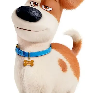 Profile image of Max