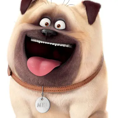 Profile image of Mel