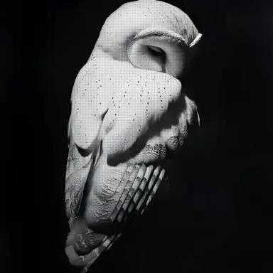 Profile image of アルデン