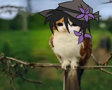 Profile image of アズール