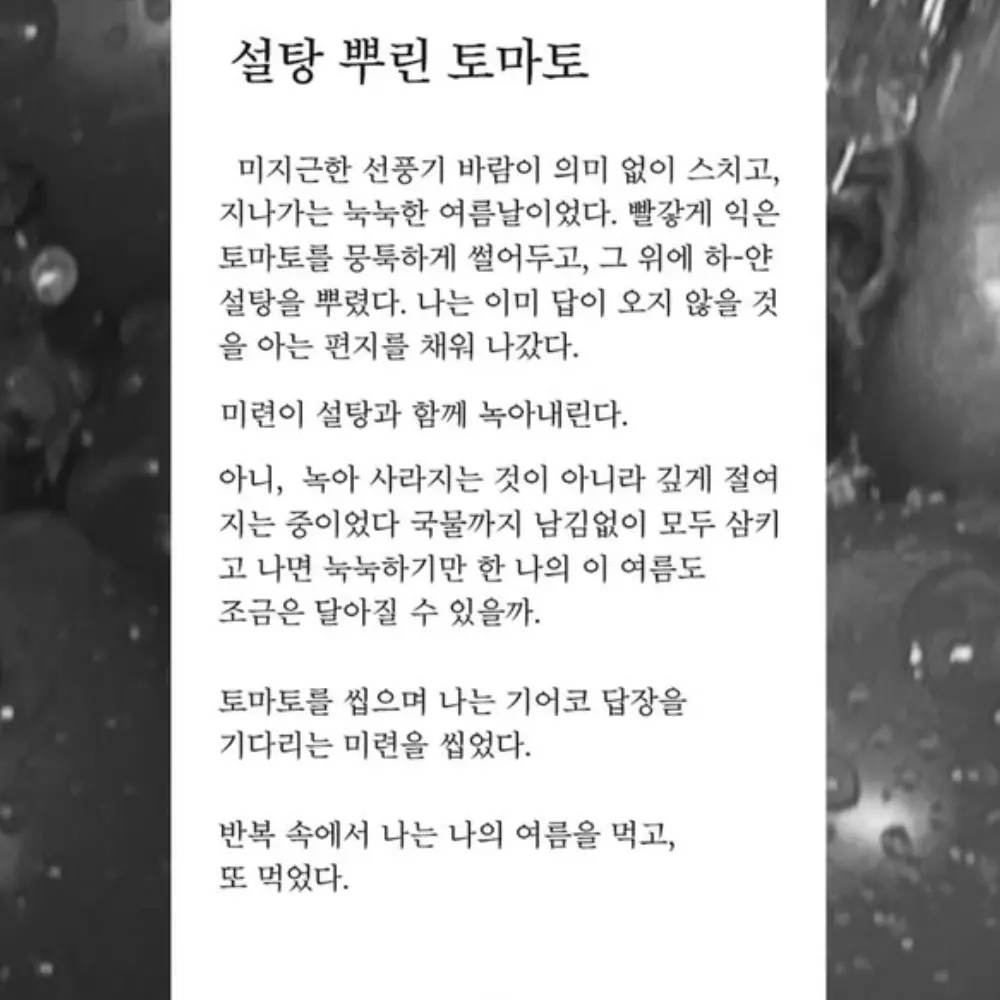 02294의 宮 侑