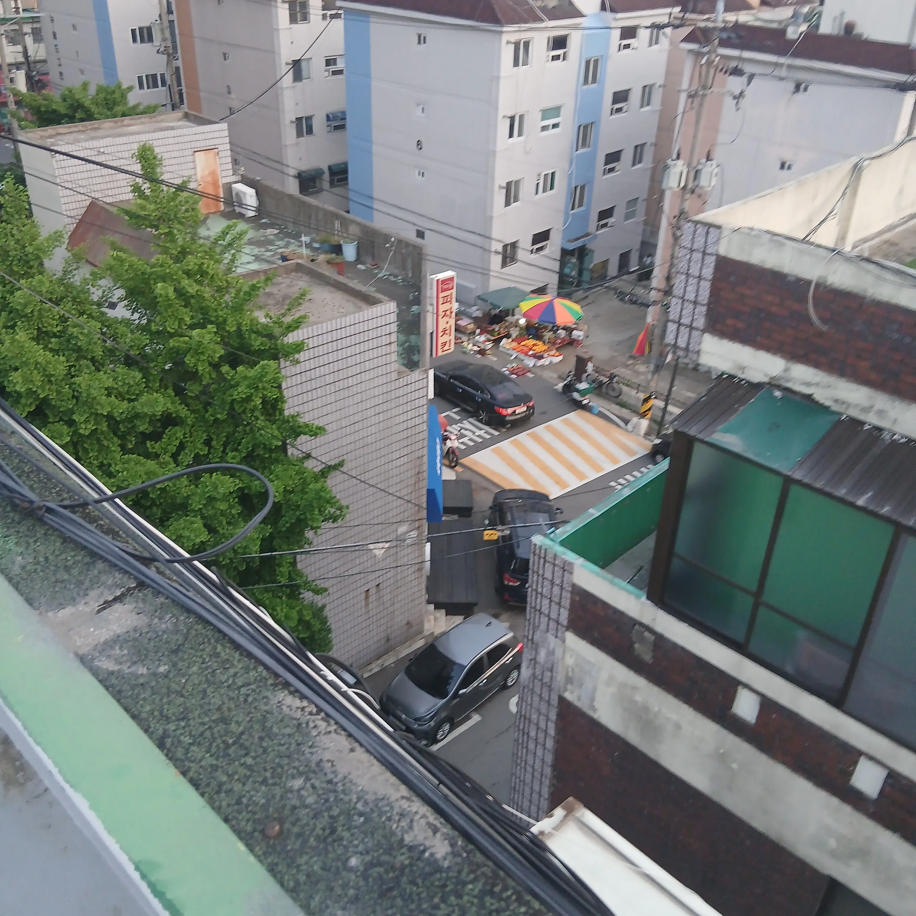CoolPaste3995의 안녕