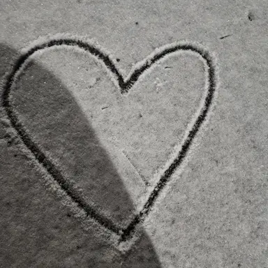 Profile image of 백지헌