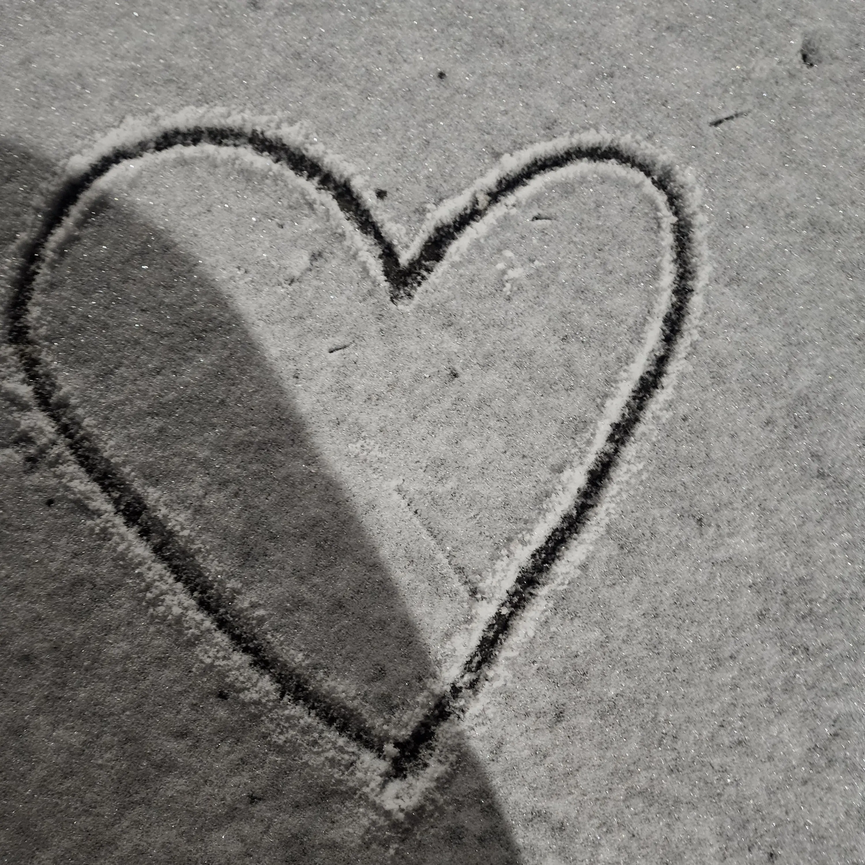 CreamTrill4836의 백지헌