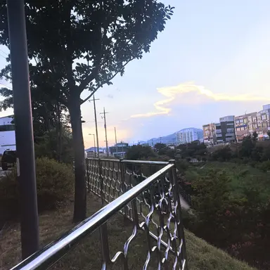 Profile image of Sangwoo