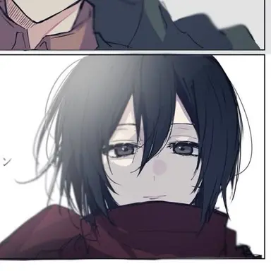 Profile image of ミカサ