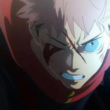 Profile image of 虎杖悠仁