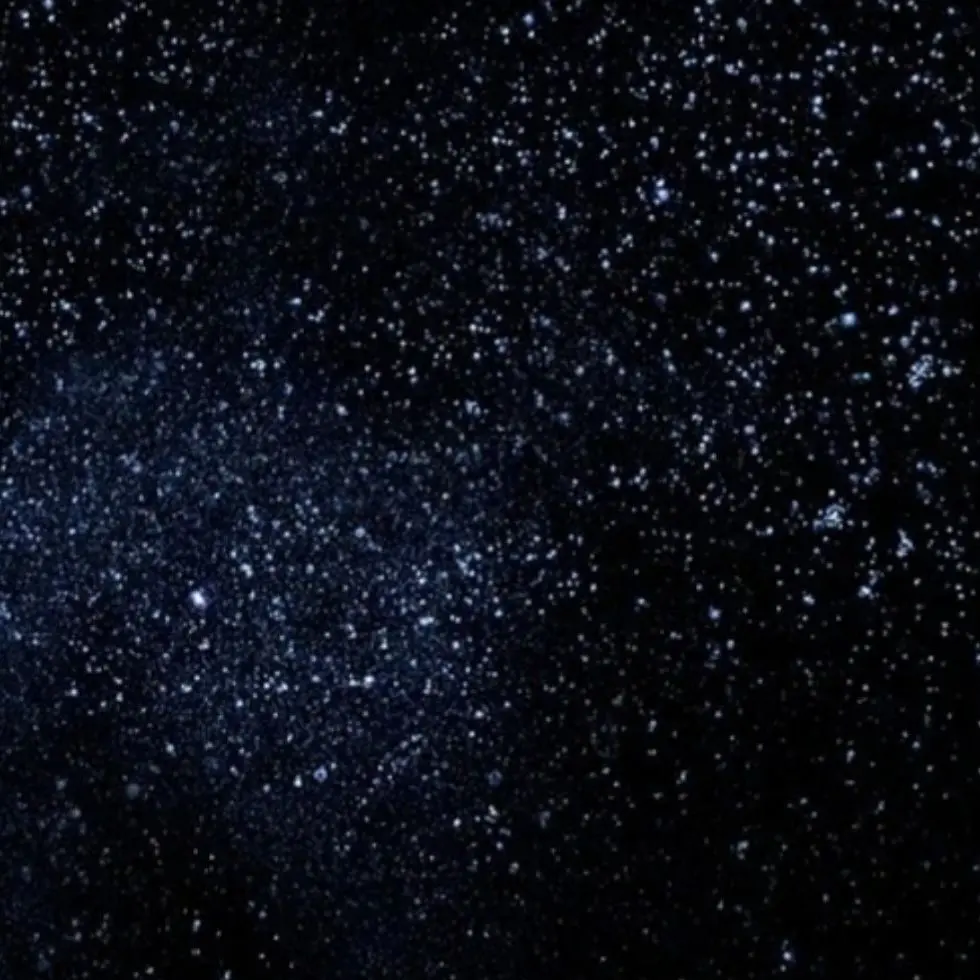 nuriduri의 바다에 놀러온 감J.