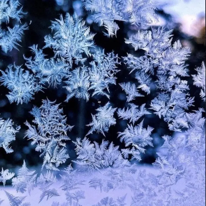 PPAp2434의 Despair at -30°C