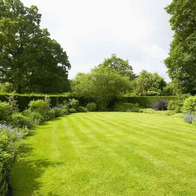 Profile image of World RPG