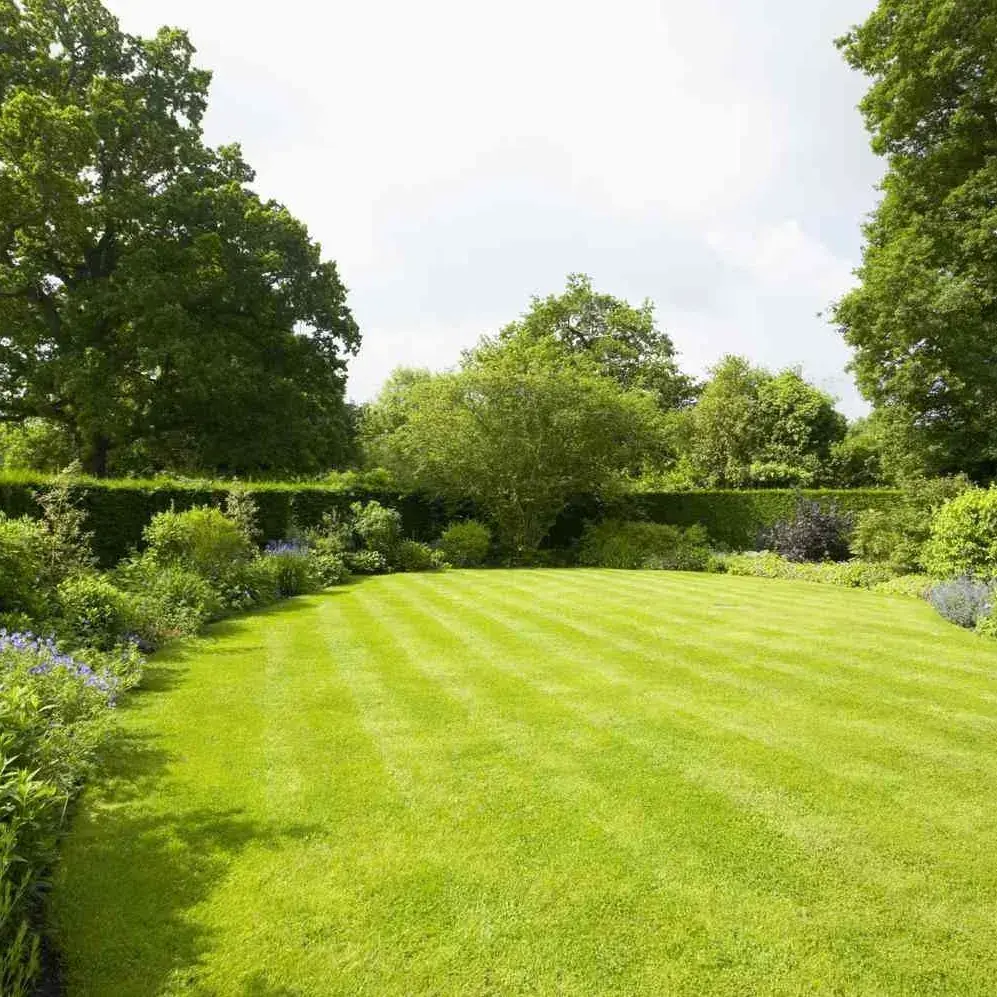 LocalYabby0819의 World RPG