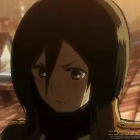 Profile image of ミカサ