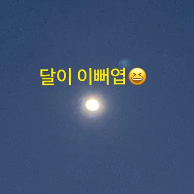 Profile image of 여우