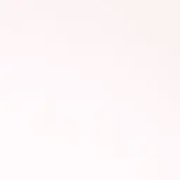 onyourw__ishh의 김동영