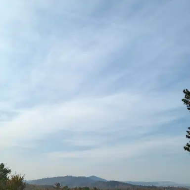 Profile image of 잭