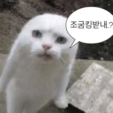 Profile image of 고우여
