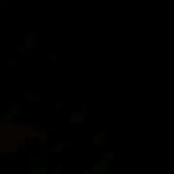 Profile image of B세포