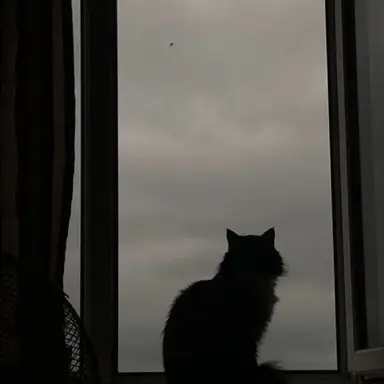 Profile image of 우융