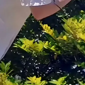 Profile image of 若井滉斗