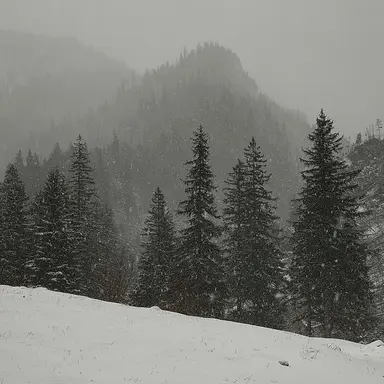 Profile image of 미하일 데블라니아