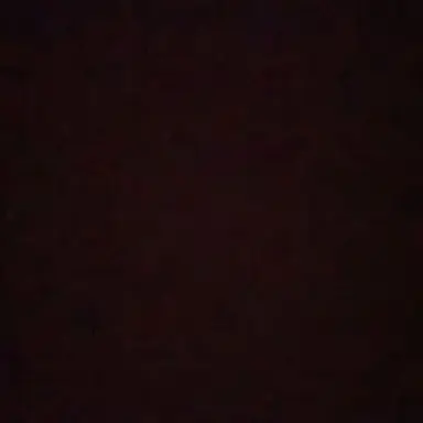 Profile image of 차진하