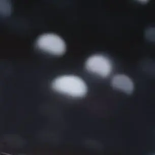 Sungchan_left.wonbin_right의 ♪