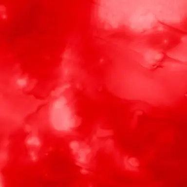 Profile image of 海老名