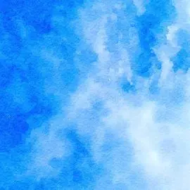 Profile image of 森本
