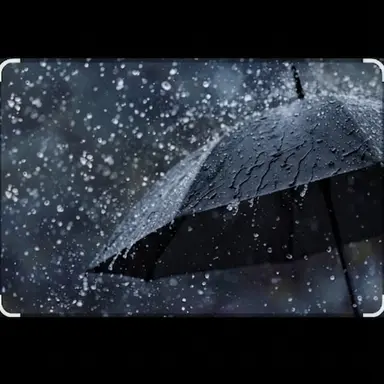Profile image of 目黒蓮