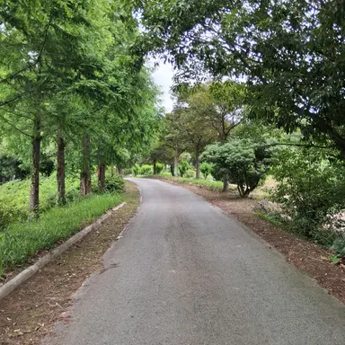 Profile image of 각별