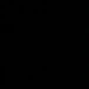 one_han의 황현진