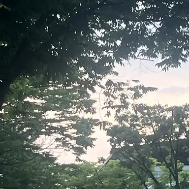 Profile image of 연준