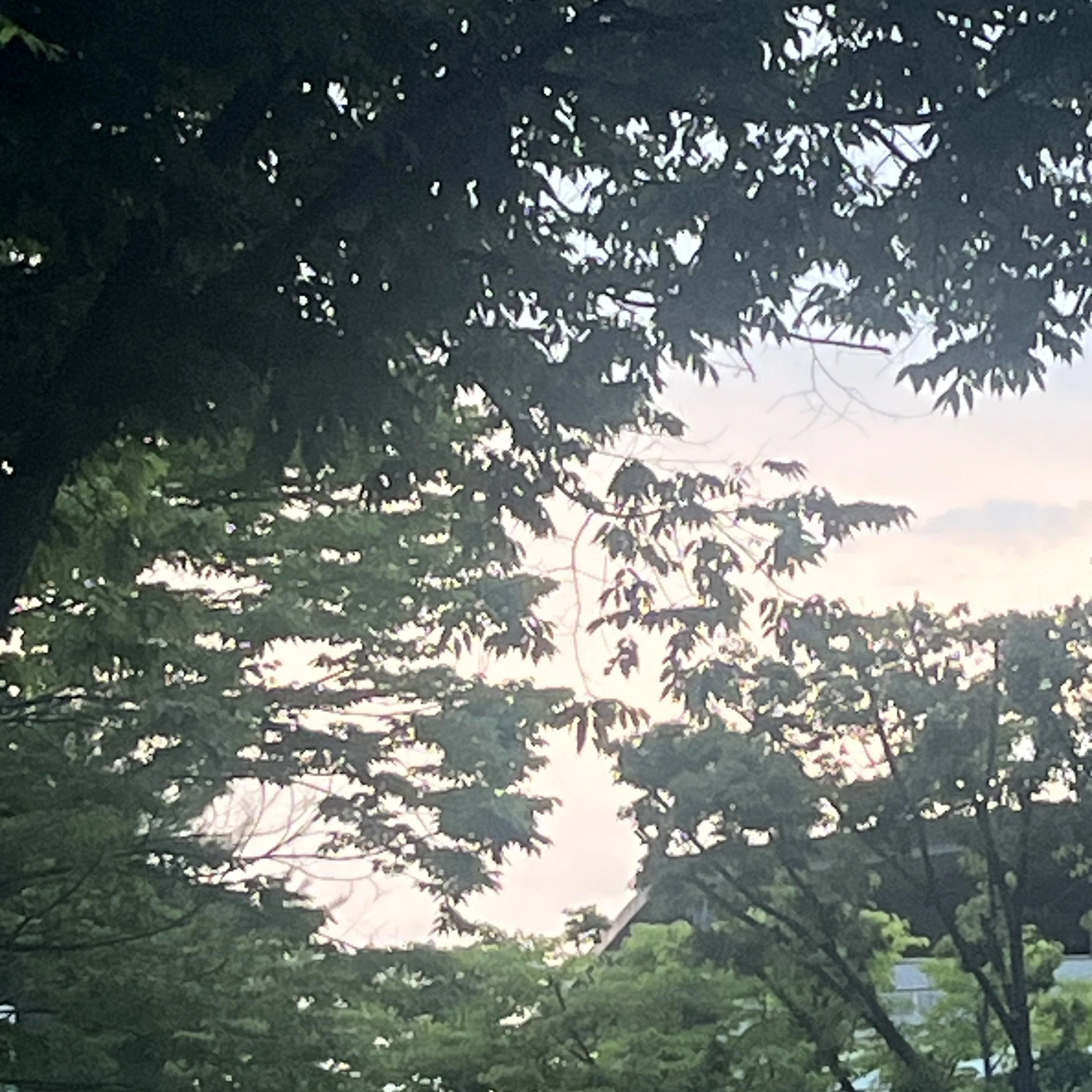 연준