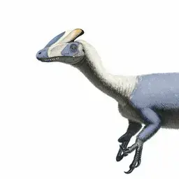 Profile image of 구안롱