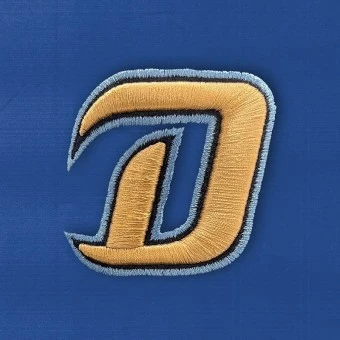 NC다이노스 감독