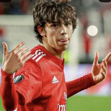 Profile image of Joao
