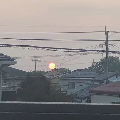 Profile image of 美咲