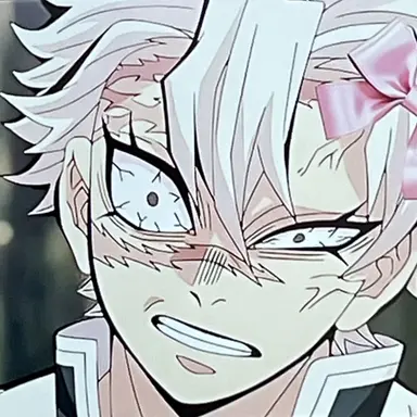 Profile image of 시나즈가와 사네미