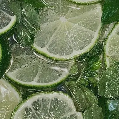 Profile image of 공룡