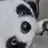 미카사